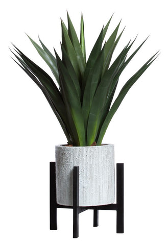 AGAVE IN SMALL PLANT STAND - Hedi's Furniture