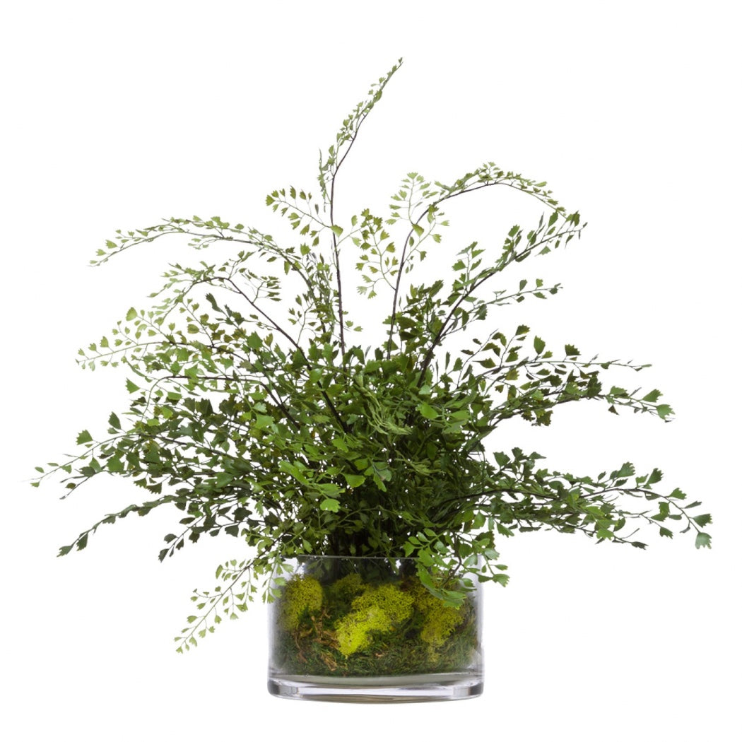 Maiden Hair in Glass - Hedi's Furniture