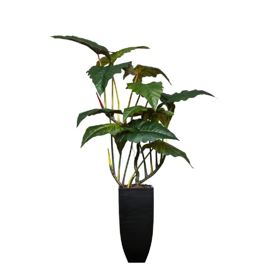 7.5' GIANT PHILODENDRON IN BLACK SQUARE POT - Hedi's Furniture