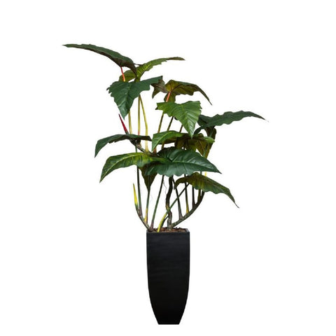 7.5' GIANT PHILODENDRON IN BLACK SQUARE POT - Hedi's Furniture