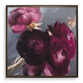 Plum Ranculus Framed Canvas