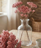 Preserved Pink Rice Flower