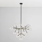 Phoenix Chandelier