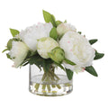 Country Ferns, S/2