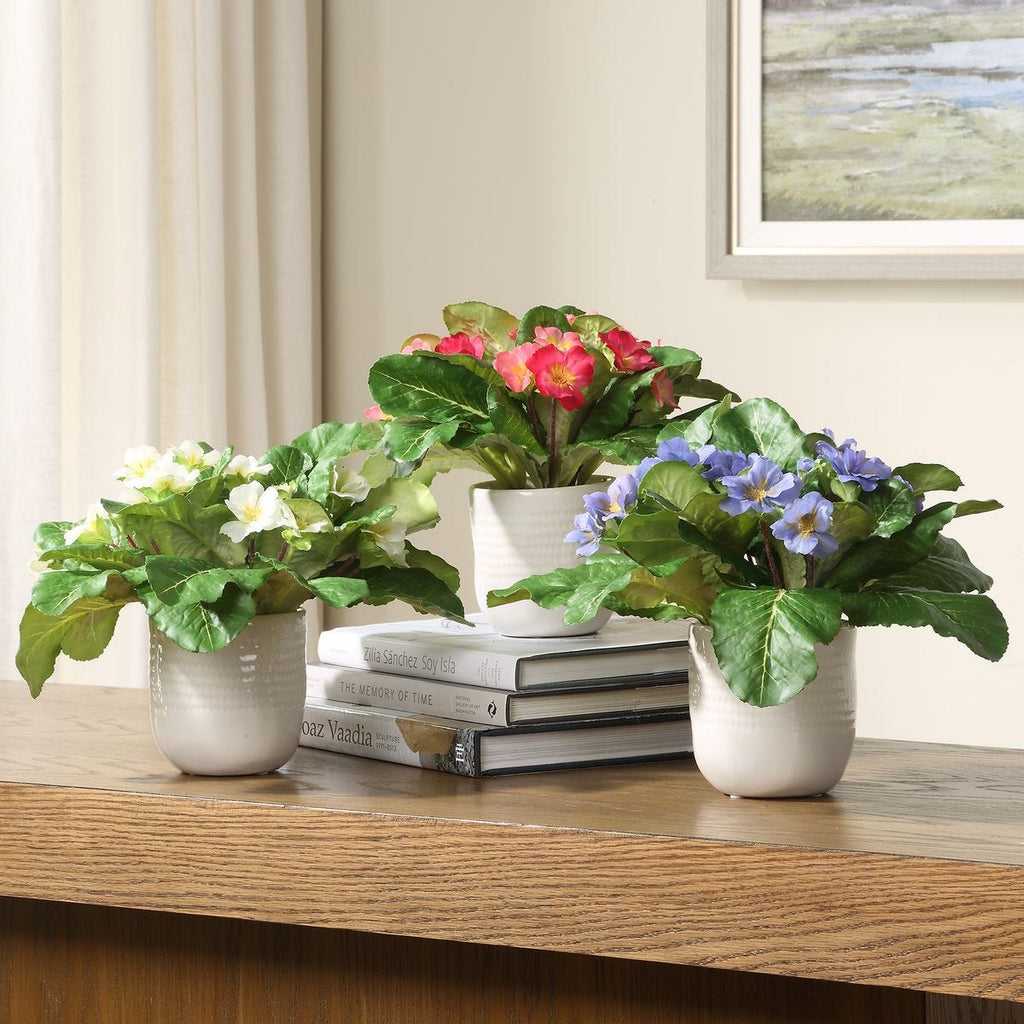 Trilogy Primrose Accents, S/3