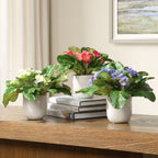Trilogy Primrose Accents, S/3