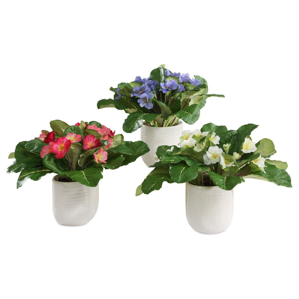 Trilogy Primrose Accents, S/3