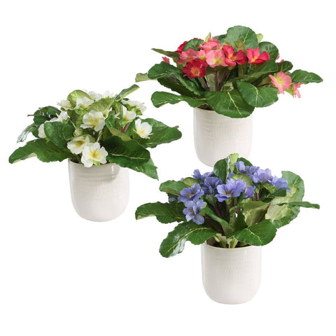Trilogy Primrose Accents, S/3