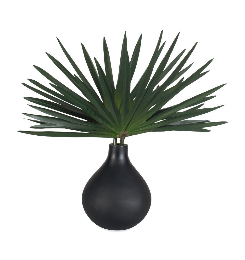 Axis Palm Accent, Black