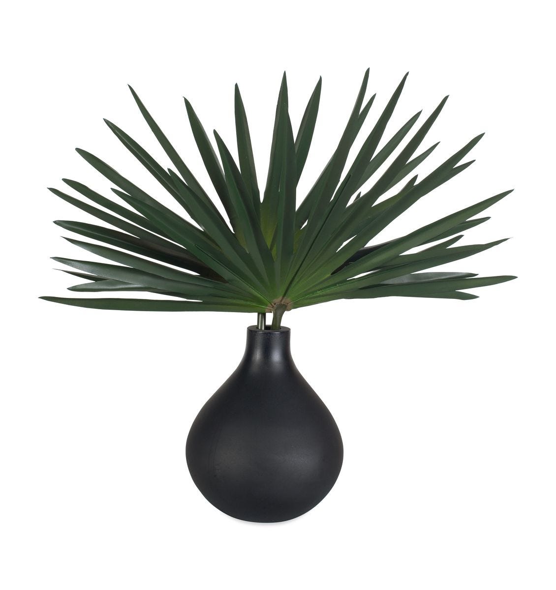 Axis Palm Accent, Black