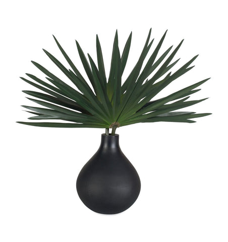 Axis Palm Accent, Black