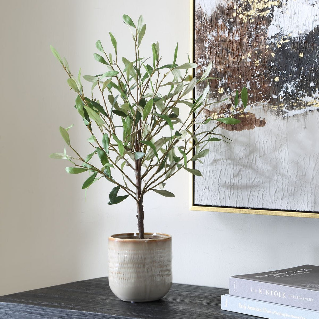 Solea Olive Accent