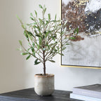 Solea Olive Accent