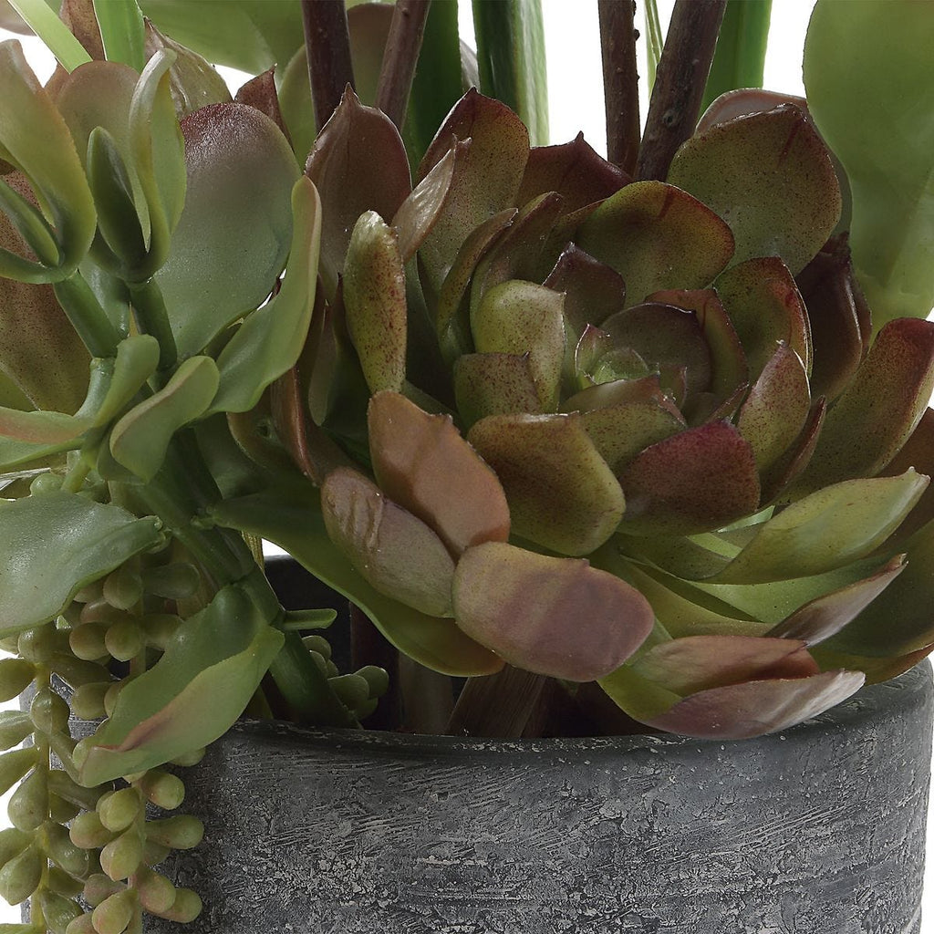 Eterna Orchid Centerpiece