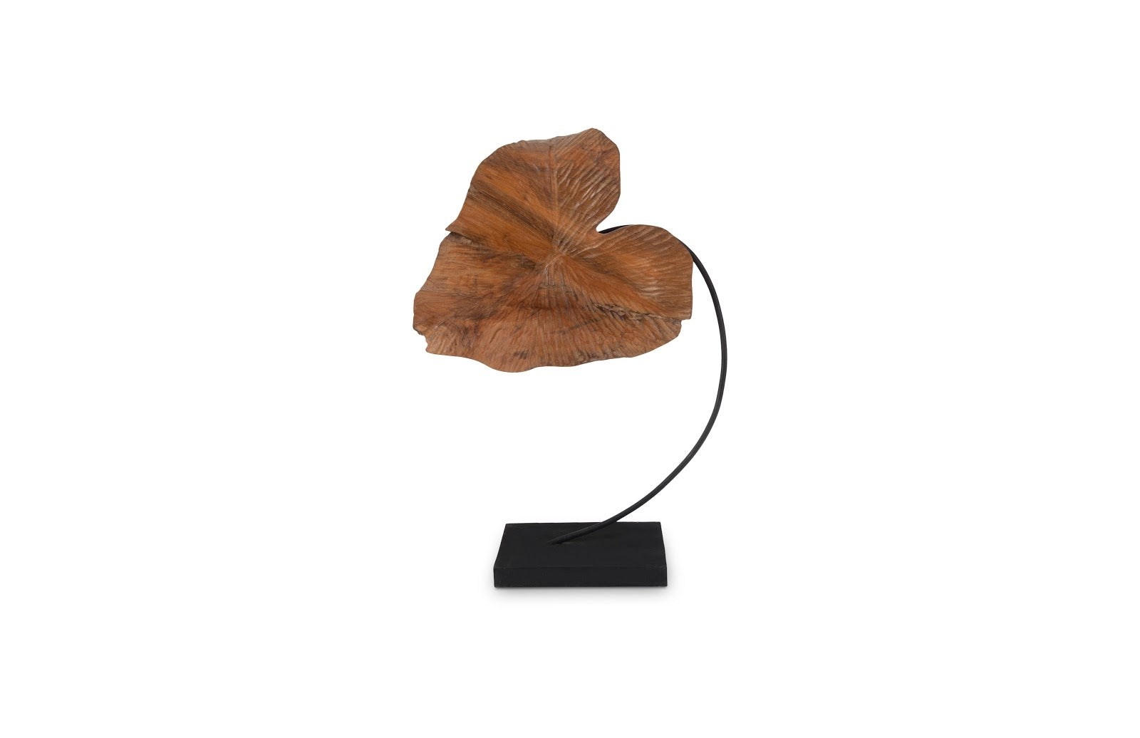 Carved Leaf Sculpture SM - Hedi's Furniture