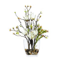 Magnolia/Bud Br FW
