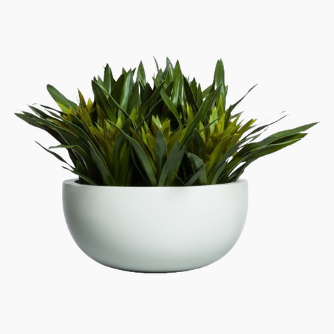 GINGER FLOWER IN LOW WHITE BOWL - Hedi's Furniture