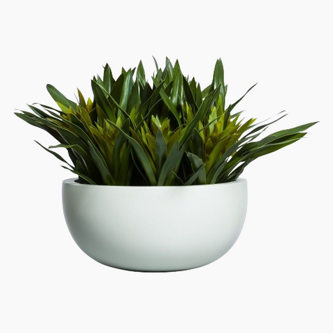 GINGER FLOWER IN LOW WHITE BOWL - Hedi's Furniture
