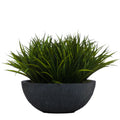 SWORD GRASS IN YARA BOWL