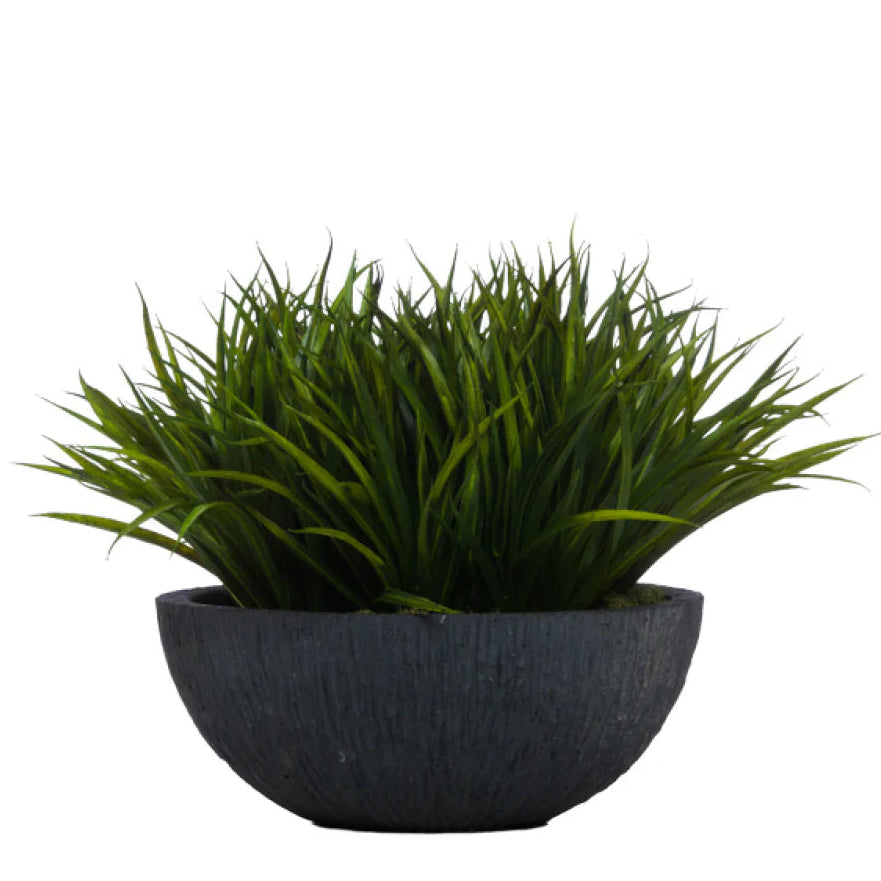 SWORD GRASS IN YARA BOWL