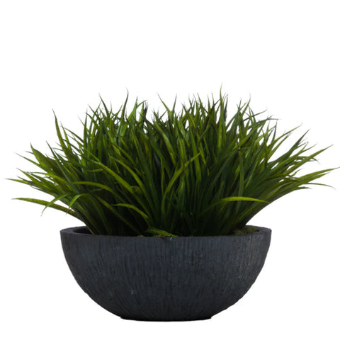 SWORD GRASS IN YARA BOWL