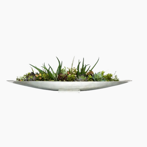 MIXED SUCCULENTS IN LARGE SILVER BOAT