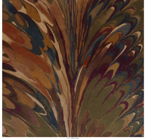 5665 -ABERDEEN/SPICE