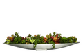 Succulent Mix SUUCULENTS IN SILVER BOAT