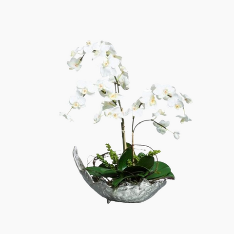 WHITE PHALONOPSIS IN SMALL SILVER BOWL - Hedi's Furniture