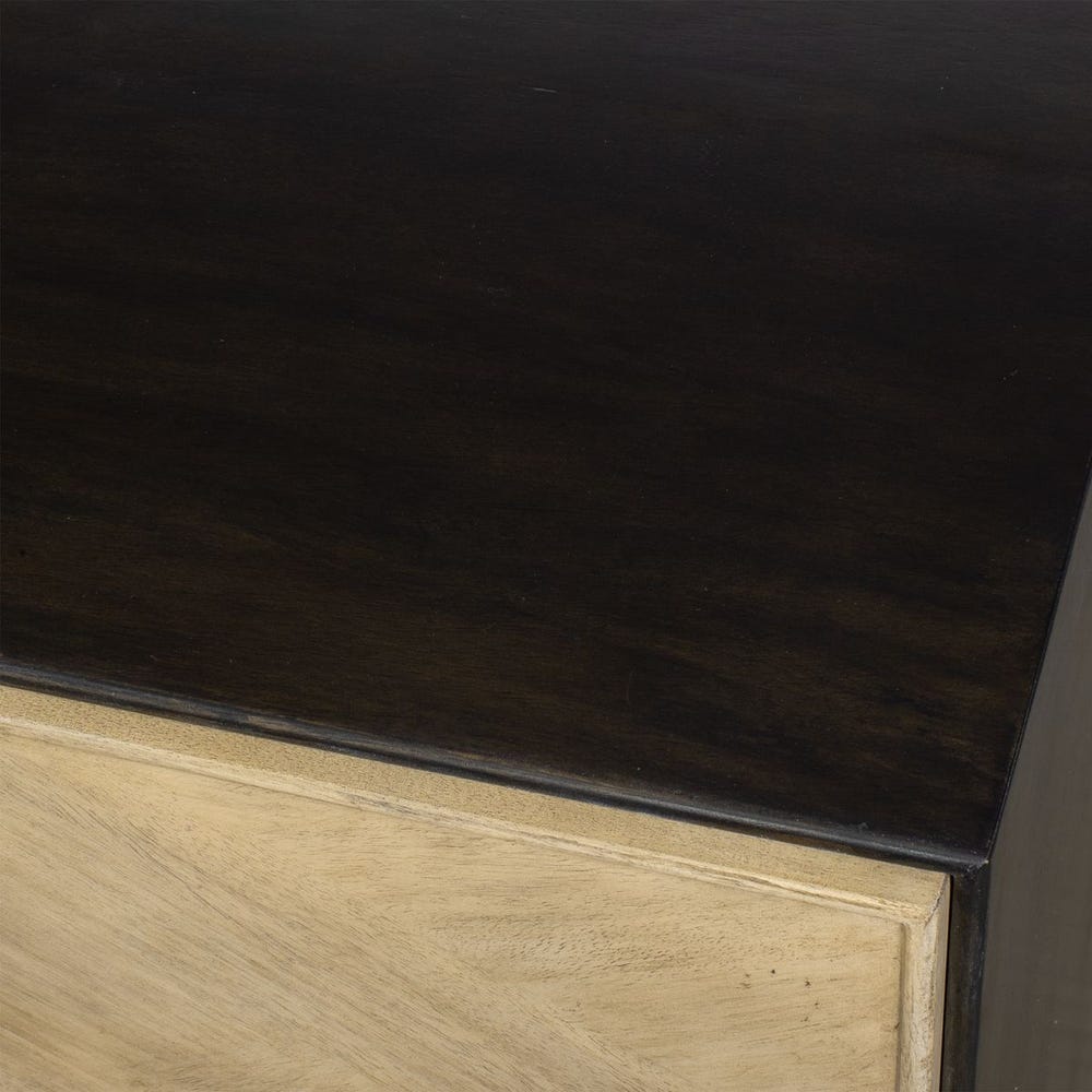 Reina 2 Door Cabinet