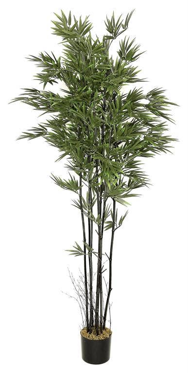 Premium Bamboo In Pot, #FL6017
