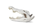 Crocodile Skull, Roman Stone, Gold Leaf