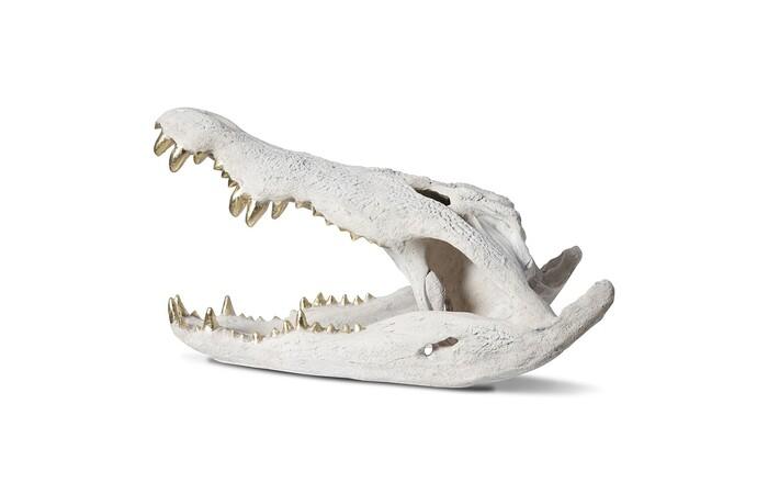 Crocodile Skull, Roman Stone, Gold Leaf