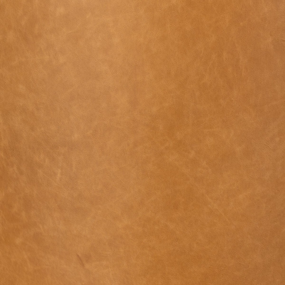 osornocamel
