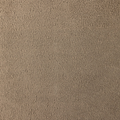 sheepskincamel