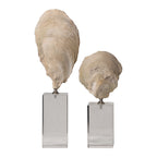 OYSTER SHELL SCULPTURES, S/2 - Hedi's Furniture