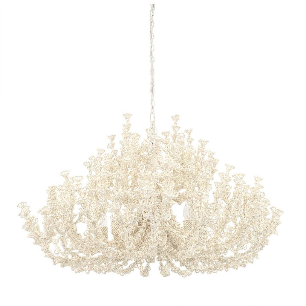 SEYCHELLES COCO CHANDELIER - Hedi's Furniture