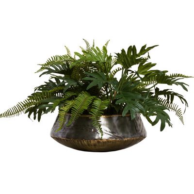 Selloum/Fern In Large Bengal Bowl - Hedi's Furniture