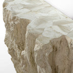 Camilla Fossilized Clam Console - Hedi's Furniture
