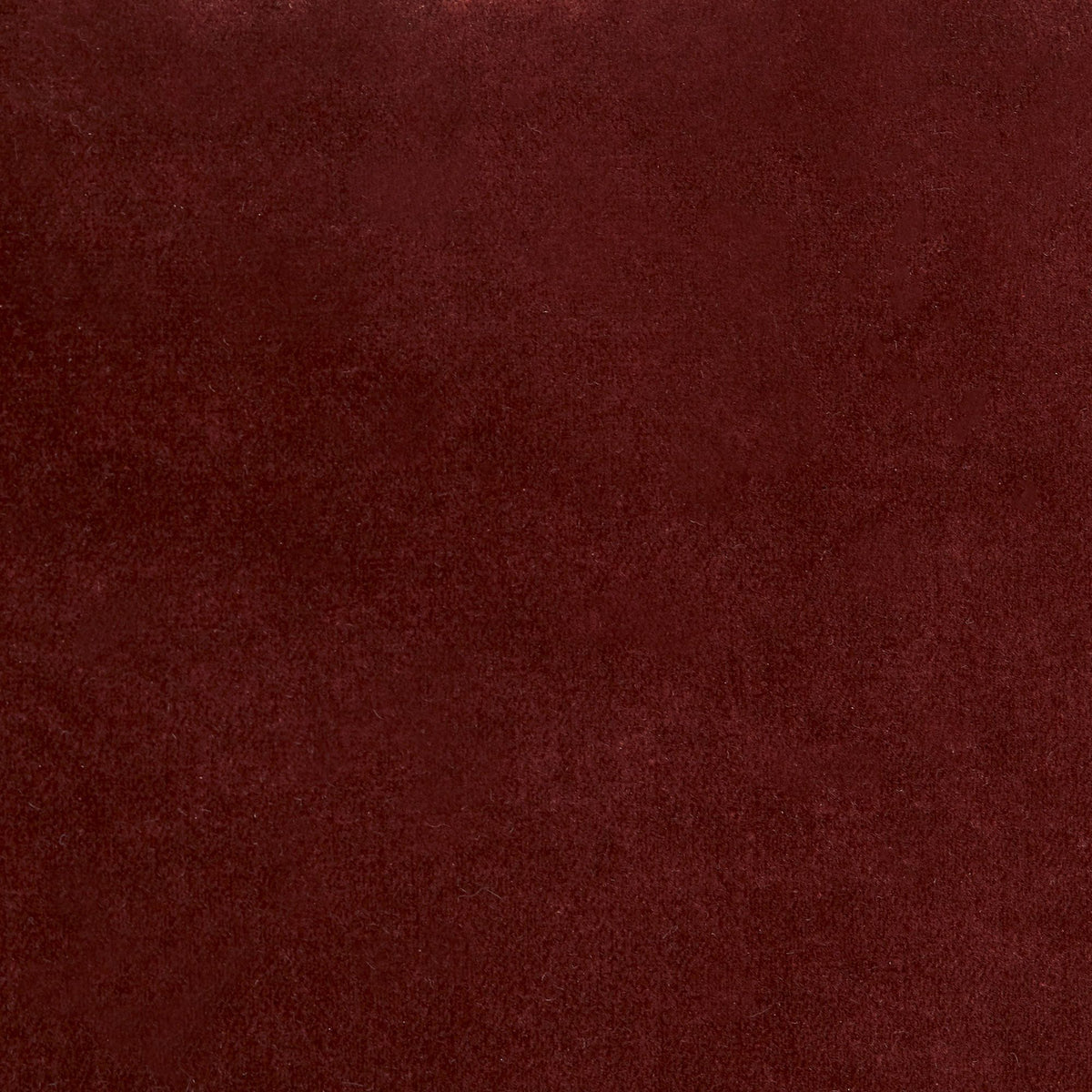Turner Small Sofa in Paprika Velvet Upholstery - Hedi's Furniture