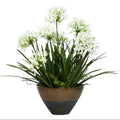 Aggapanthus Two Tone Bronze Pot - Hedi's Furniture