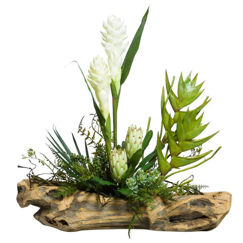 ASSORTED TROPICAL / SUCCULENT PLANTS IN SCULPTED WOOD BRANCH - Hedi's Furniture