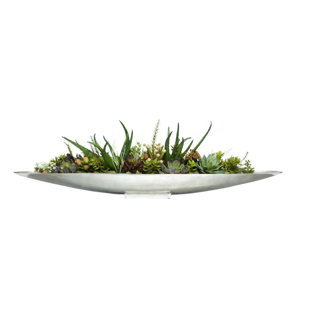 MIXED SUCCULENTS IN LARGE SILVER BOAT - Hedi's Furniture