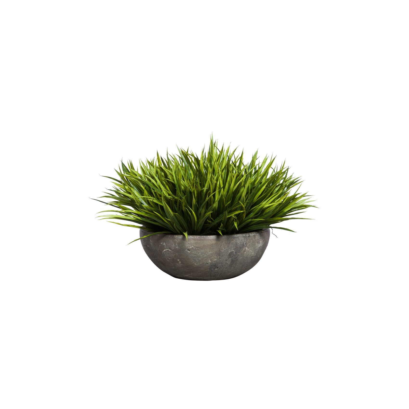 SWORD GRASS IN YARA BOWL - Hedi's Furniture