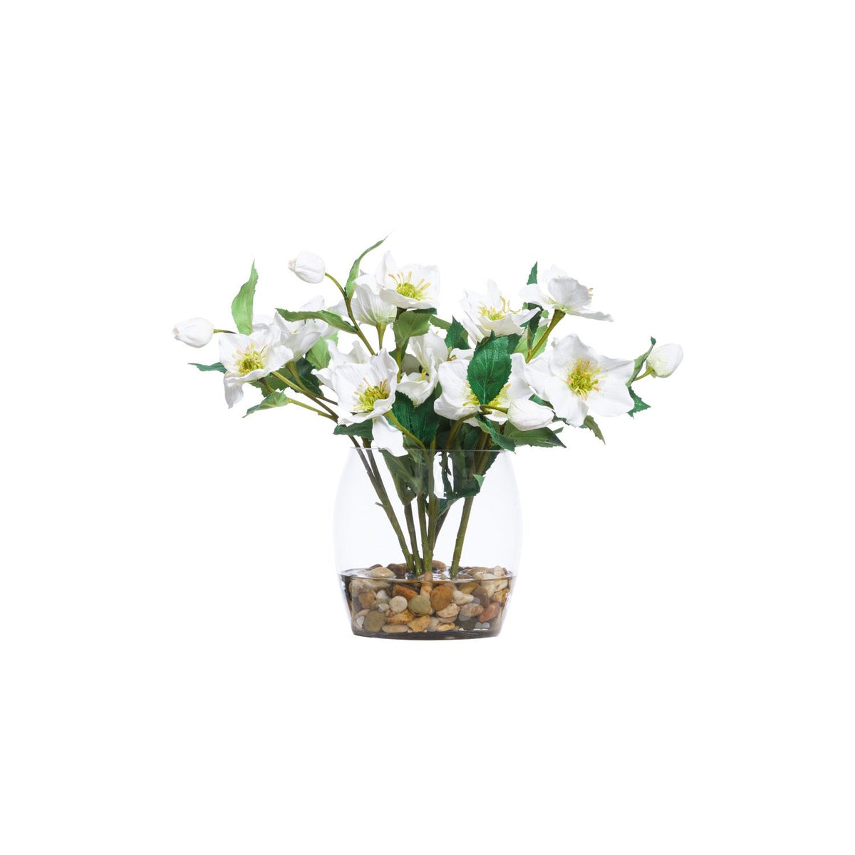 WHITE HELLEBORIS IN BARREL VASE - Hedi's Furniture