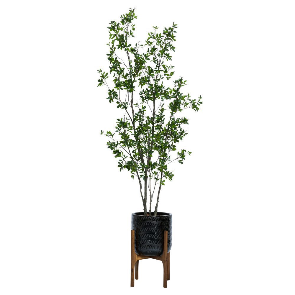 8' ASIAN FICUS IN TEXTURED PLANT STAND - Hedi's Furniture