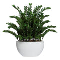 DELUXE ZAMIFOLIA IN WHITE SANDSTONE OVAL POT - Hedi's Furniture