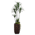 Dracena Combo in Bac Bac 64" - Hedi's Furniture