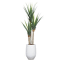 8' UV PANDANUS IN WHITE SANDSTONE ROUND POT - Hedi's Furniture