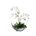 WHITE PHALONOPSIS IN SMALL SILVER BOWL - Hedi's Furniture